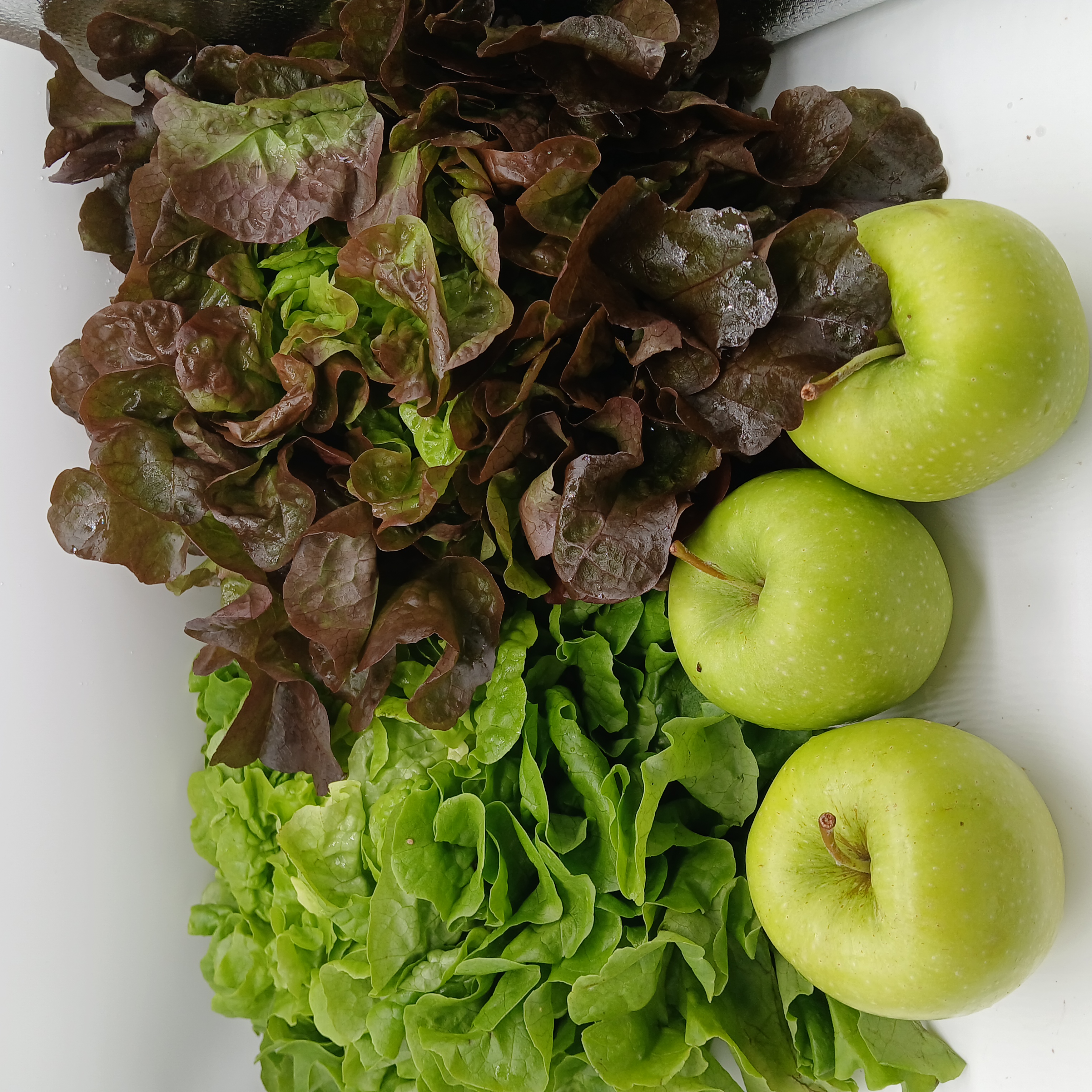 meal image