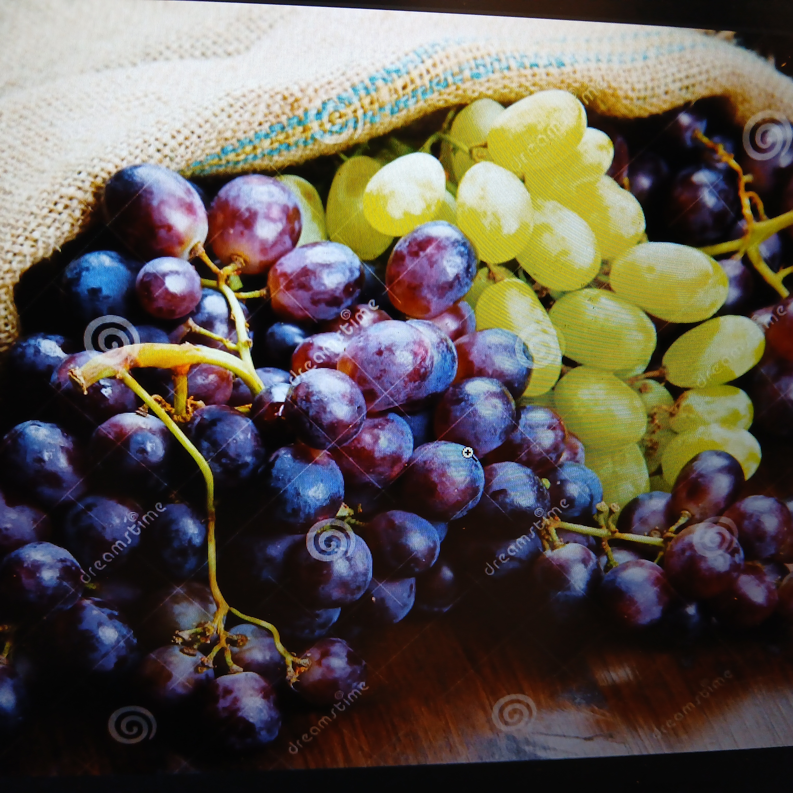 meal image