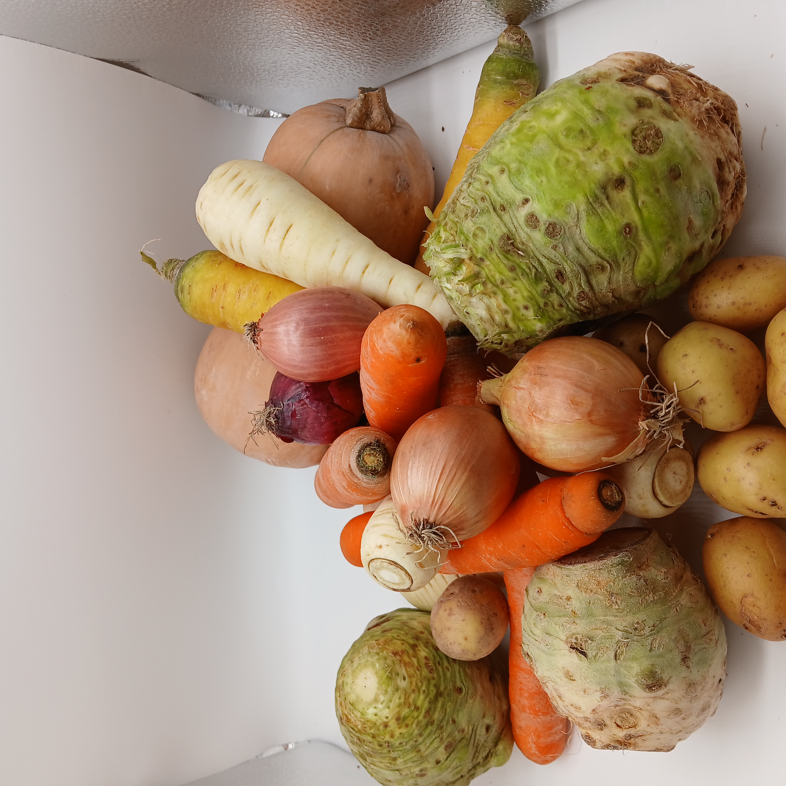 meal image