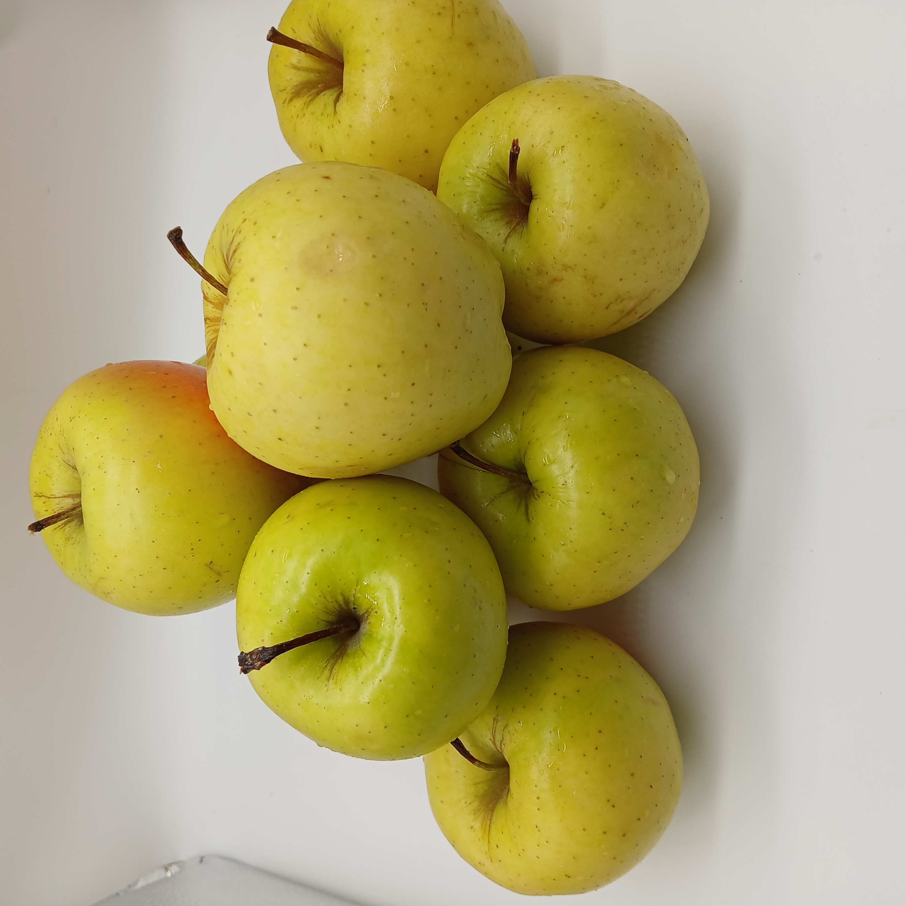 meal image