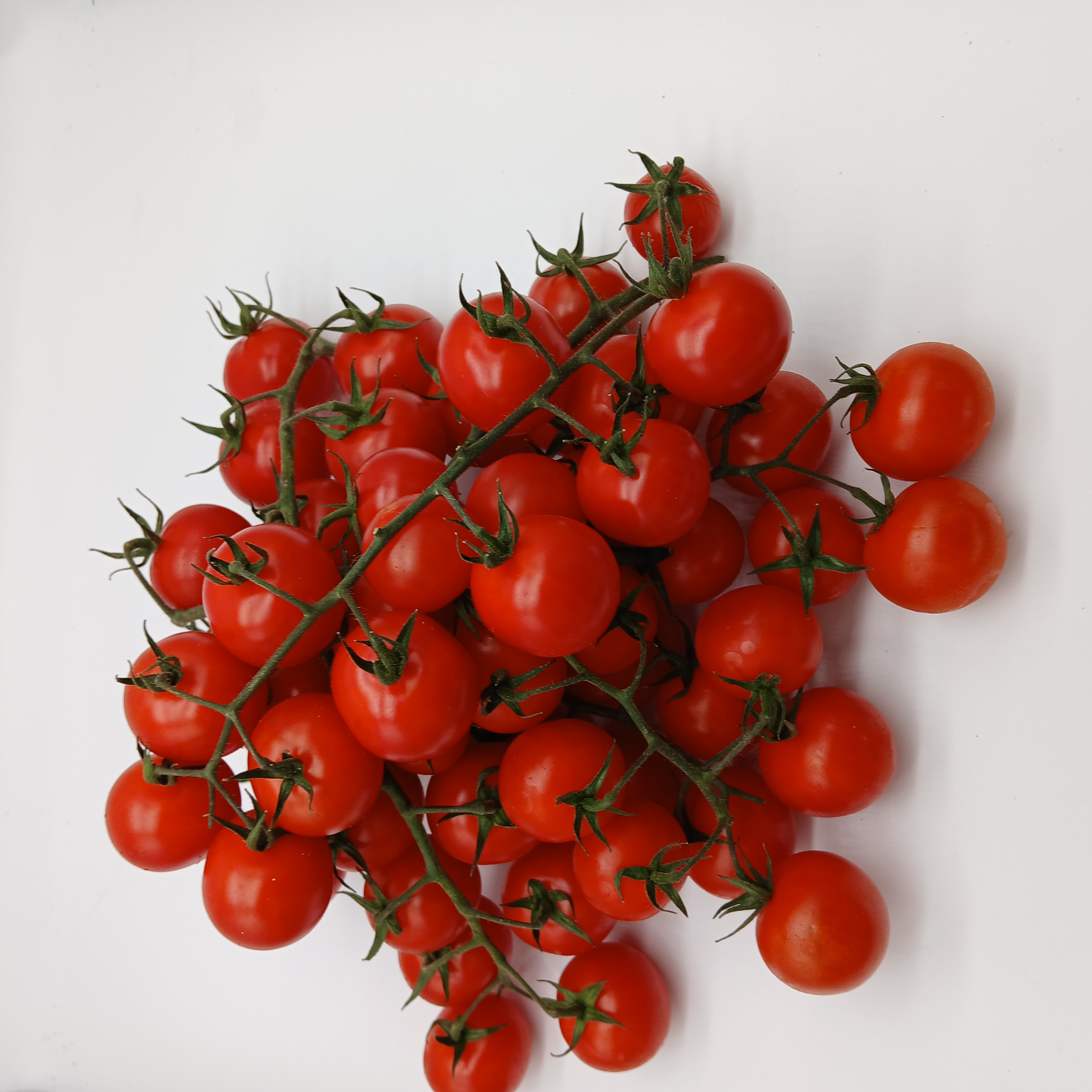 meal image