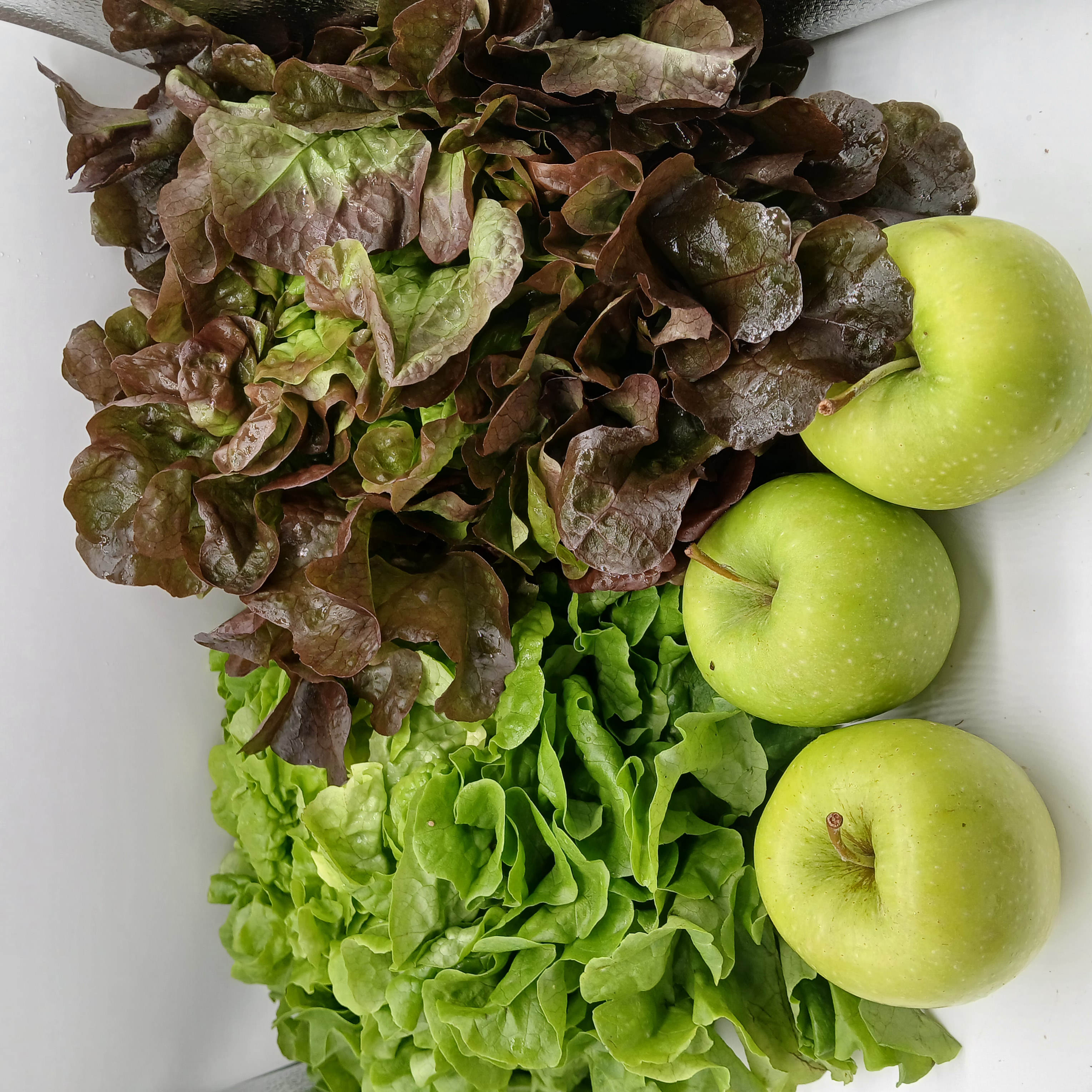 meal image