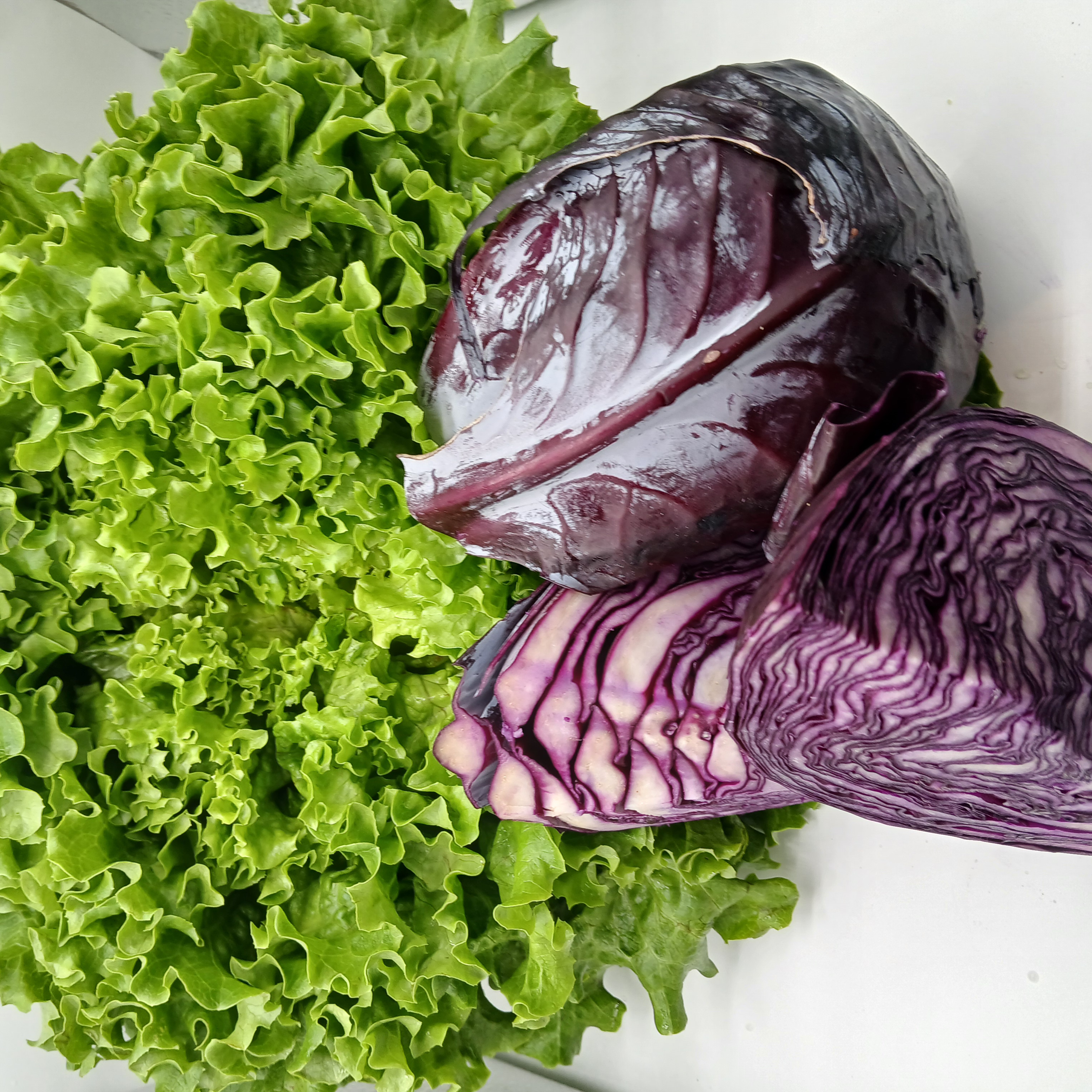 meal image
