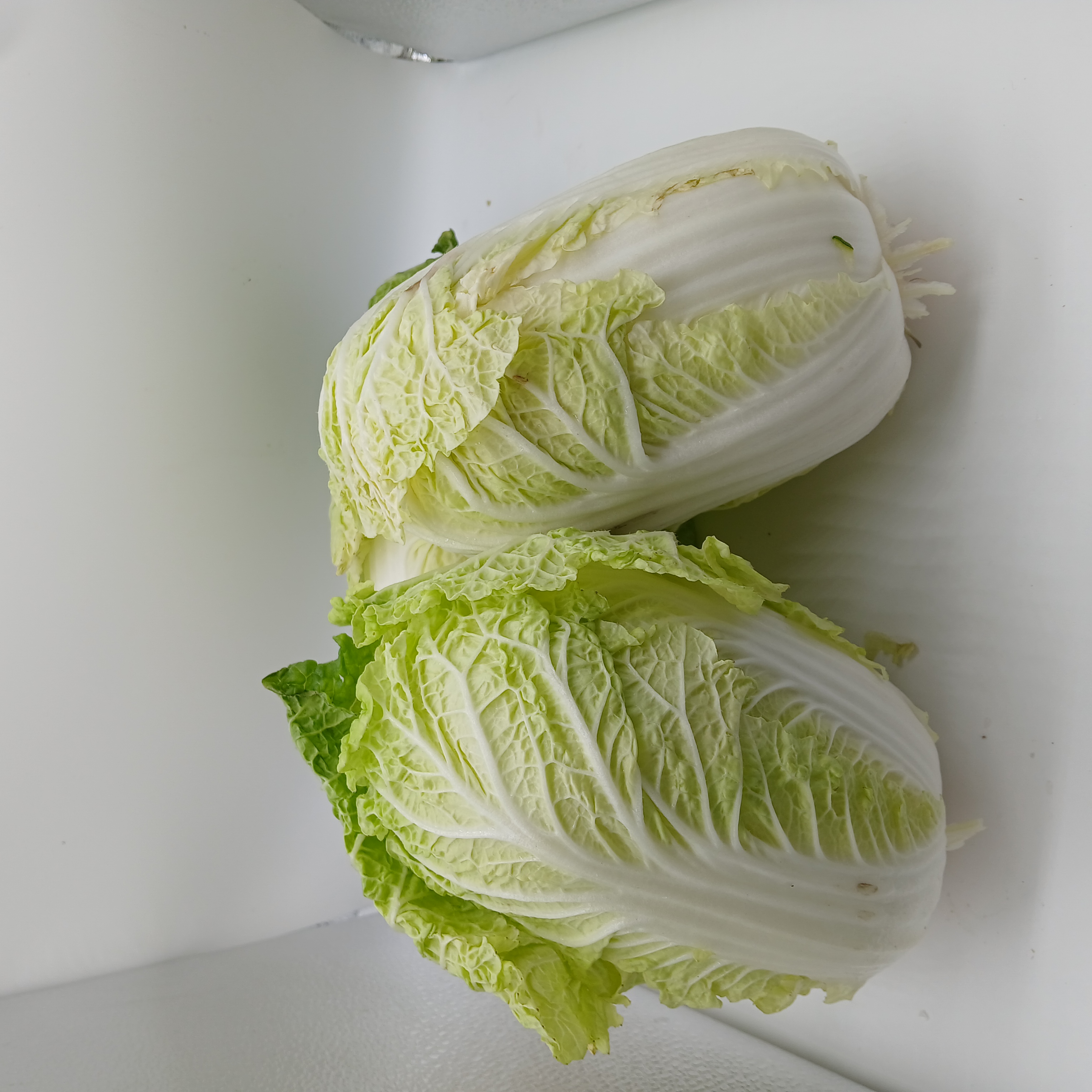 meal image